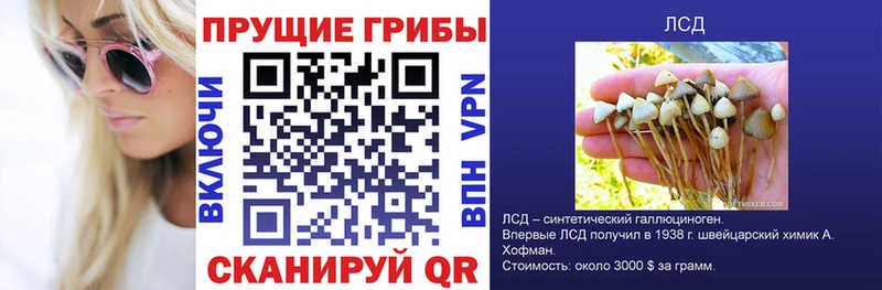 Галлюциногенные грибы мицелий  Лобня 